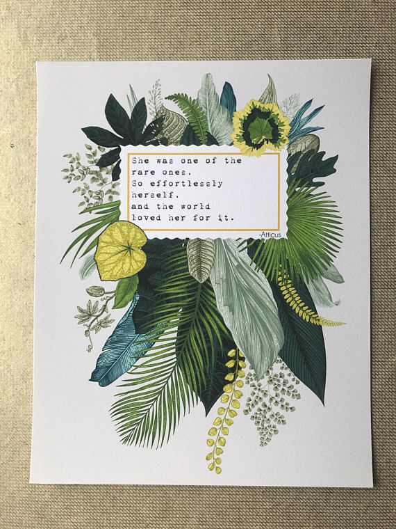 This image has an empty alt attribute; its file name is she-was-one-of-the-rare-ones.jpg